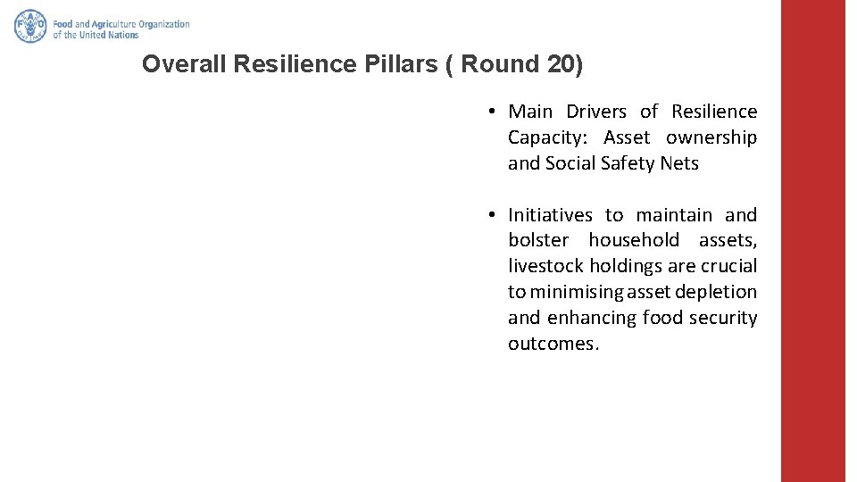 Overall Resilience Pillars ( Round 20) • Main Drivers of Resilience Capacity: Asset ownership