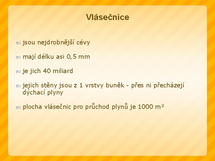 Vlásečnice jsou nejdrobnější cévy mají délku asi 0, 5 mm je jich 40 miliard