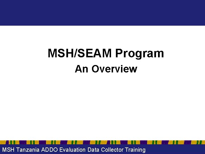 MSH/SEAM Program An Overview MSH Tanzania ADDO Evaluation Data Collector Training 