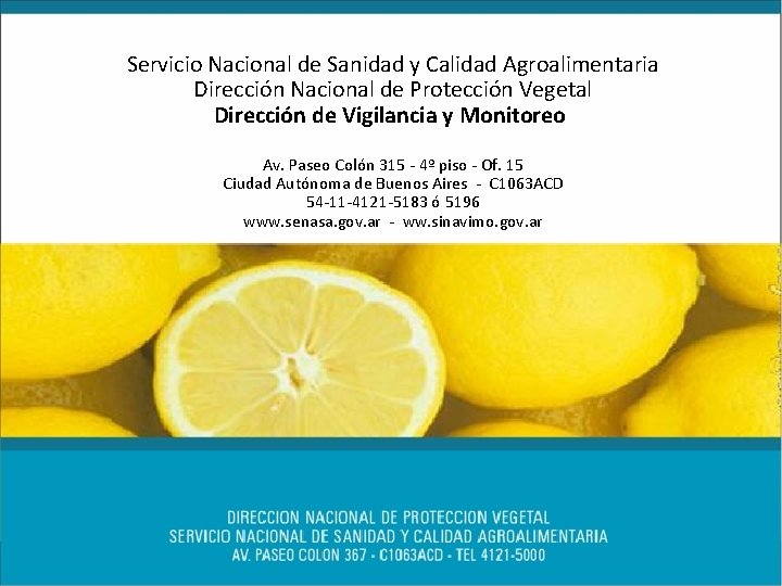 Servicio Nacional de Sanidad y Calidad Agroalimentaria Dirección Nacional de Protección Vegetal Dirección de