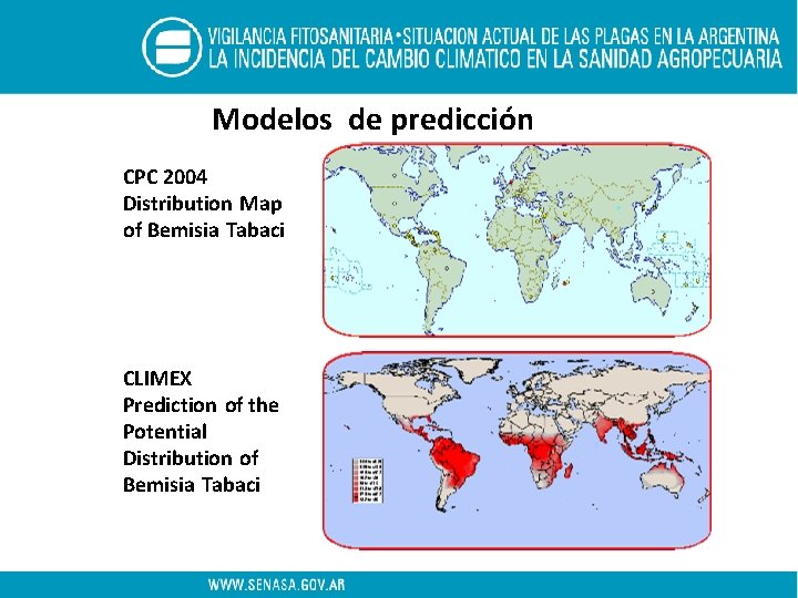 Modelos de predicción CPC 2004 Distribution Map of Bemisia Tabaci CLIMEX Prediction of the