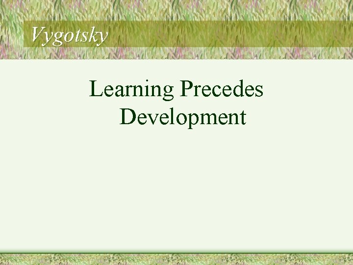 Vygotsky Learning Precedes Development 