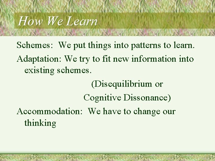 How We Learn Schemes: We put things into patterns to learn. Adaptation: We try