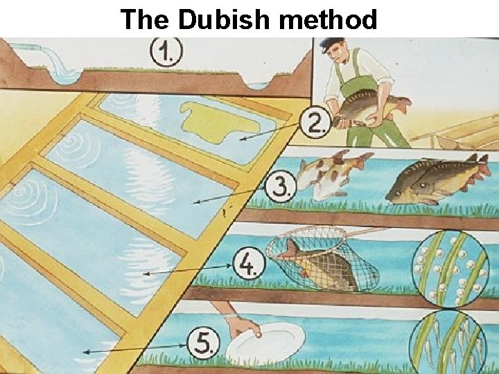 The Dubish method 
