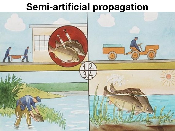 Semi-artificial propagation 