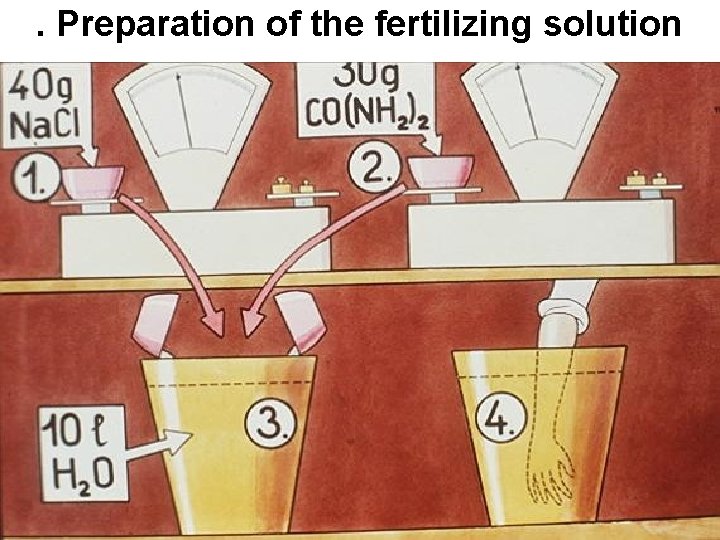 . Preparation of the fertilizing solution 