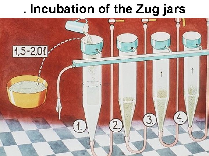 . Incubation of the Zug jars 