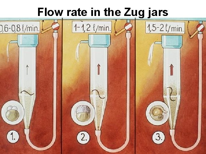 Flow rate in the Zug jars 