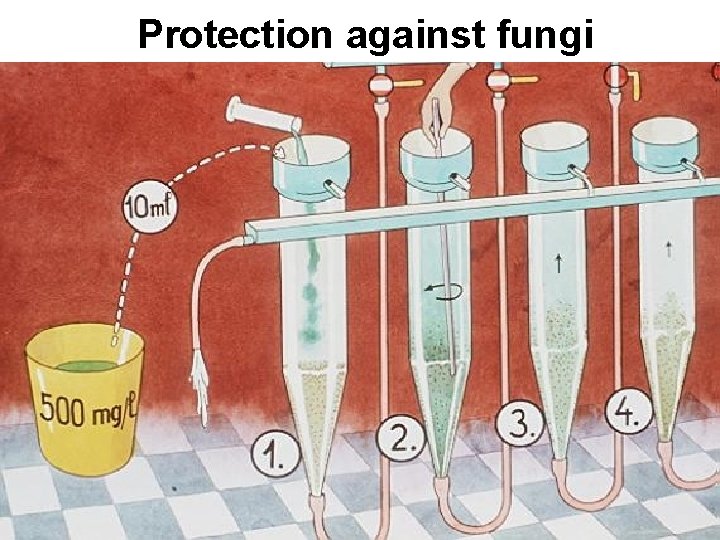 Protection against fungi 