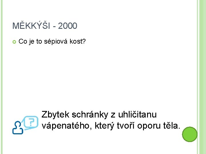 MĚKKÝŠI - 2000 Co je to sépiová kost? Zbytek schránky z uhličitanu vápenatého, který