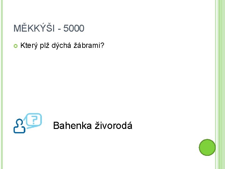 MĚKKÝŠI - 5000 Který plž dýchá žábrami? Bahenka živorodá 