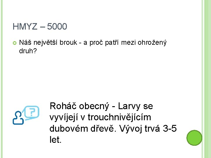 HMYZ – 5000 Náš největší brouk - a proč patří mezi ohrožený druh? Roháč