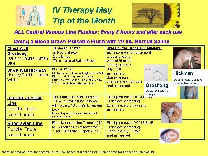 IV Therapy May Tip of the Month ALL Central Venous Line Flushes: Every 8