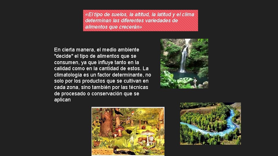  «El tipo de suelos, la altitud, la latitud y el clima determinan las