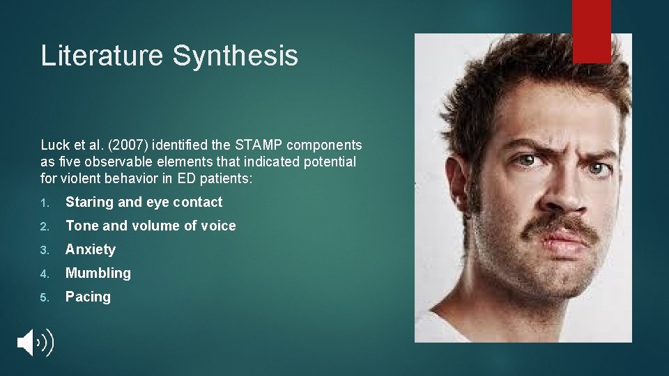 Literature Synthesis Luck et al. (2007) identified the STAMP components as five observable elements