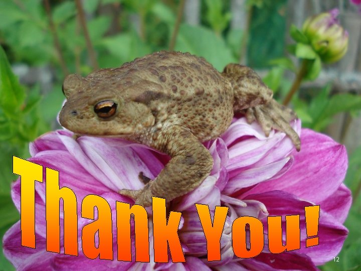 12 12