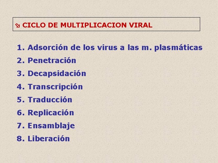  CICLO DE MULTIPLICACION VIRAL 1. Adsorción de los virus a las m. plasmáticas
