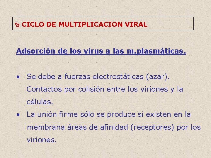  CICLO DE MULTIPLICACION VIRAL Adsorción de los virus a las m. plasmáticas. •