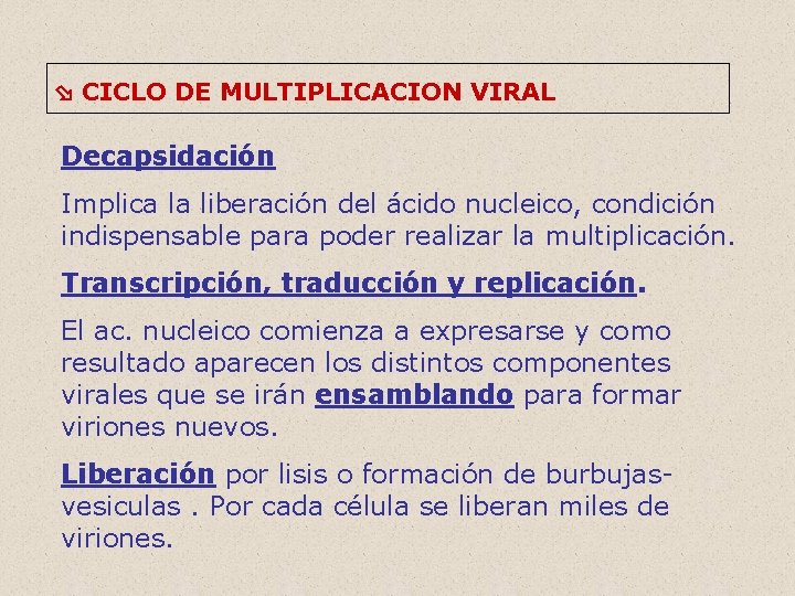  CICLO DE MULTIPLICACION VIRAL Decapsidación Implica la liberación del ácido nucleico, condición indispensable