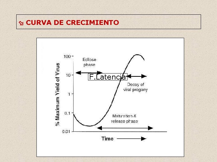  CURVA DE CRECIMIENTO F. Latencia 