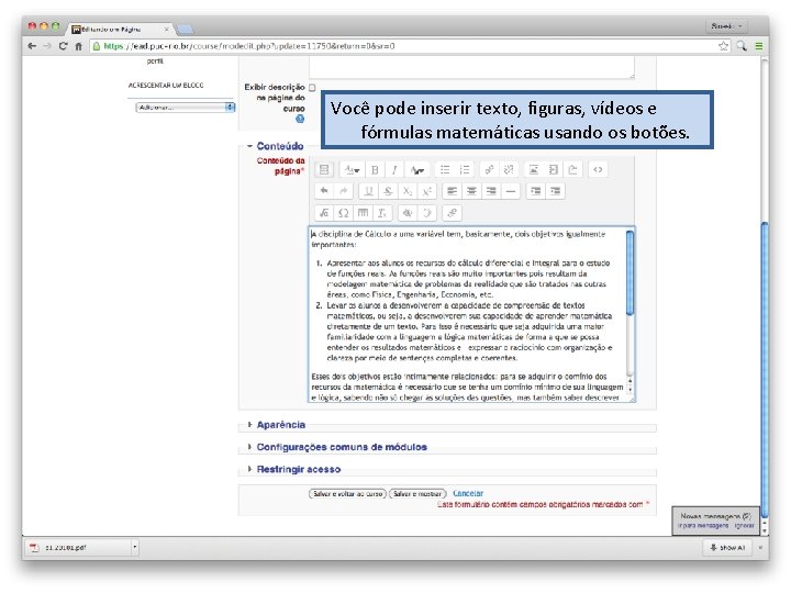 Você pode inserir texto, figuras, vídeos e fórmulas matemáticas usando os botões. 