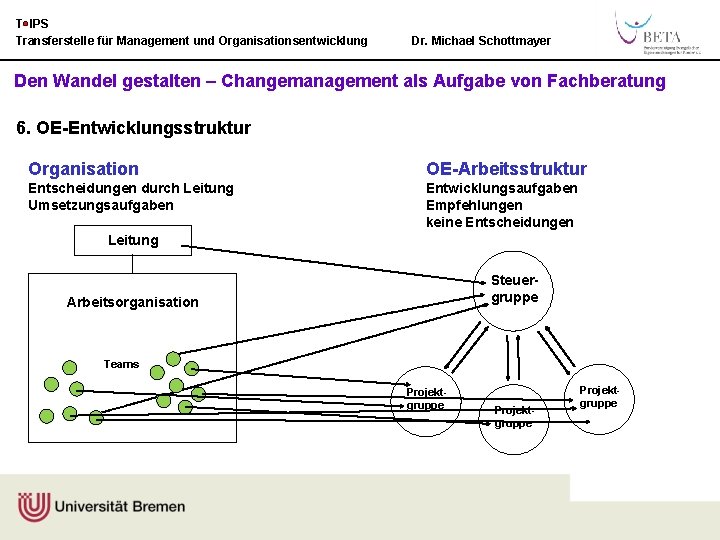 T IPS Transferstelle für Management und Organisationsentwicklung Dr. Michael Schottmayer Den Wandel gestalten –