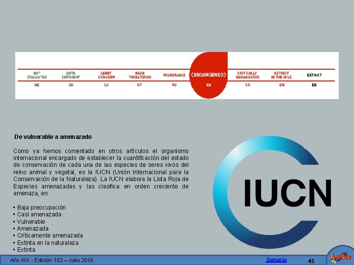  De vulnerable a amenazado Como ya hemos comentado en otros artículos el organismo