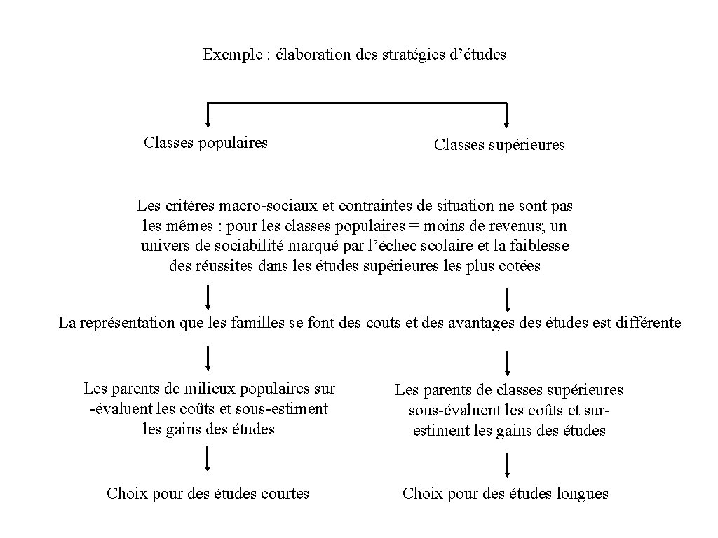 Exemple : élaboration des stratégies d’études Classes populaires Classes supérieures Les critères macro-sociaux et