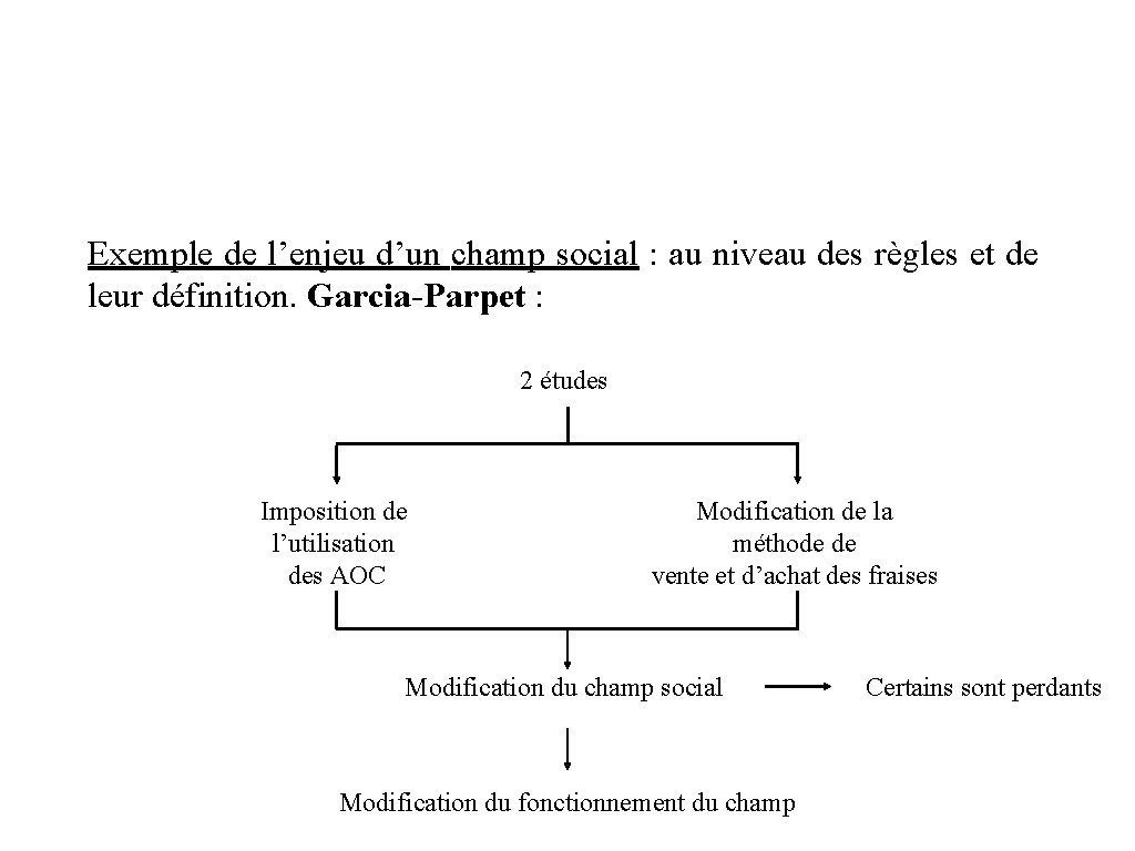 Exemple de l’enjeu d’un champ social : au niveau des règles et de leur