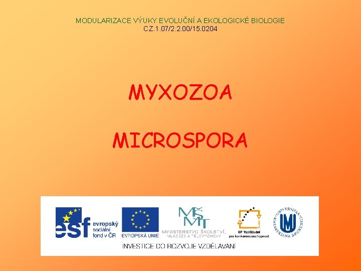 MODULARIZACE VÝUKY EVOLUČNÍ A EKOLOGICKÉ BIOLOGIE CZ. 1. 07/2. 2. 00/15. 0204 MYXOZOA MICROSPORA