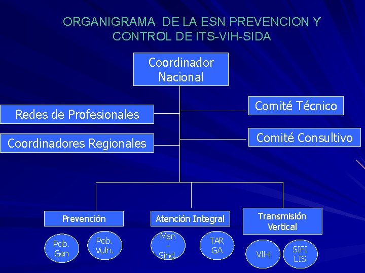 ORGANIGRAMA DE LA ESN PREVENCION Y CONTROL DE ITS-VIH-SIDA Coordinador Nacional Comité Técnico Redes