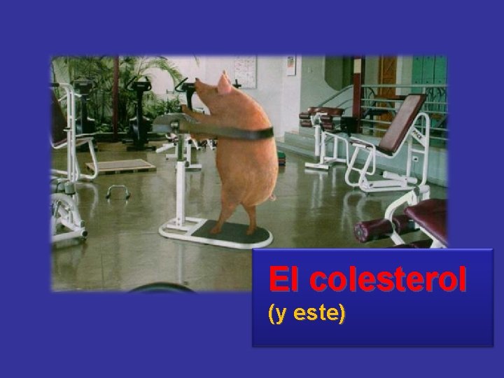 El colesterol (y este) 