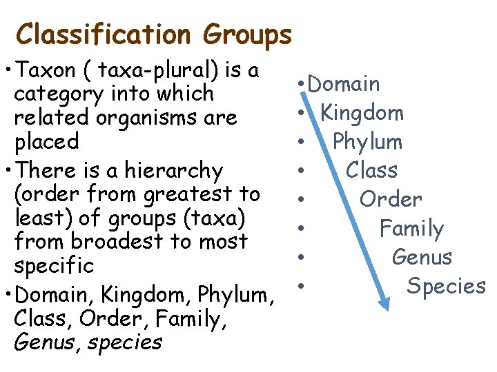 Classification Groups • Taxon ( taxa-plural) is a category into which related organisms are