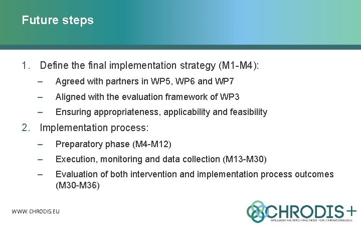 Future steps 1. Define the final implementation strategy (M 1 -M 4): – Agreed