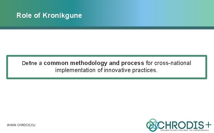 Role of Kronikgune Define a common methodology and process for cross-national implementation of innovative