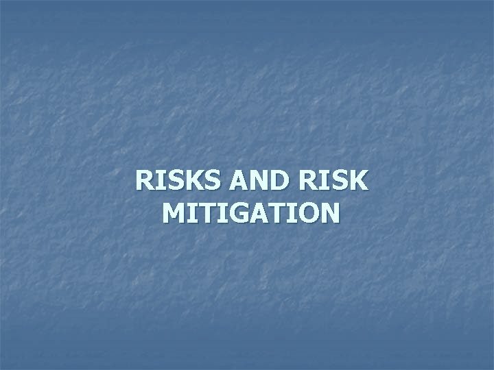 RISKS AND RISK MITIGATION 