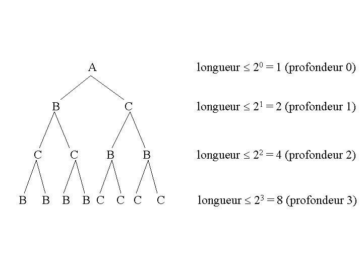 A longueur 20 = 1 (profondeur 0) B C C C B longueur 21