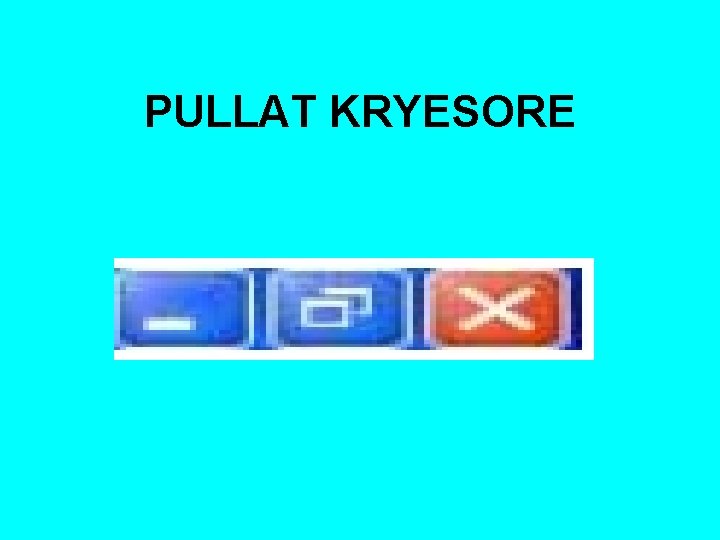 PULLAT KRYESORE 