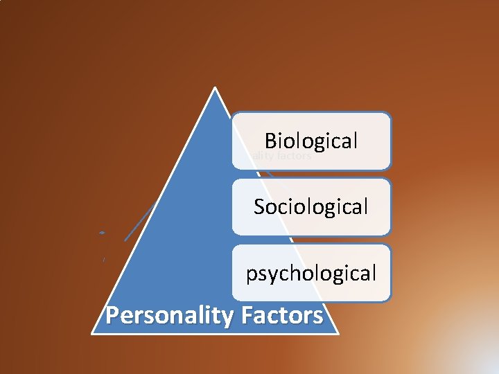 Biological Personality factors Sociological psychological Personality Factors 