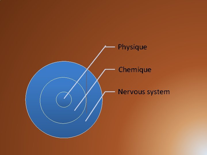 Physique Chemique Nervous system 