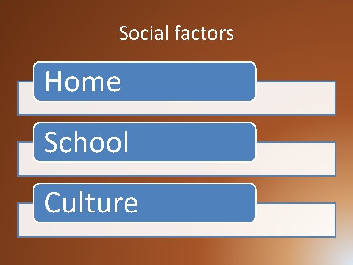 Social factors Home School Culture 