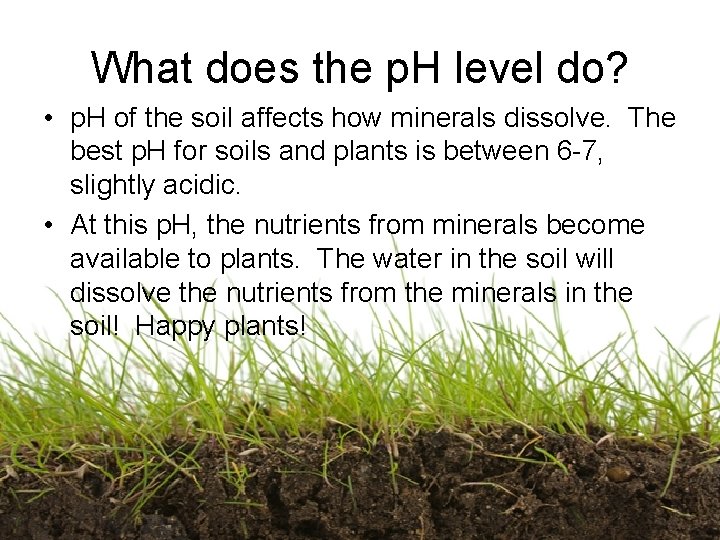 What does the p. H level do? • p. H of the soil affects