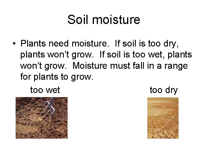 Soil moisture • Plants need moisture. If soil is too dry, plants won’t grow.