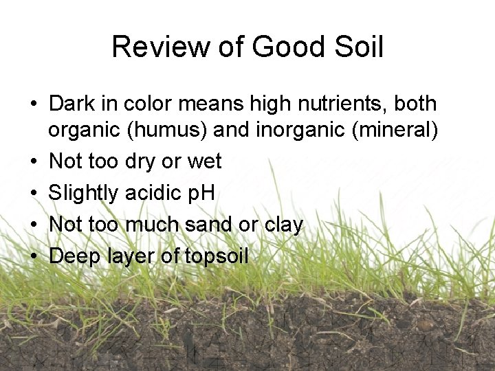 Review of Good Soil • Dark in color means high nutrients, both organic (humus)