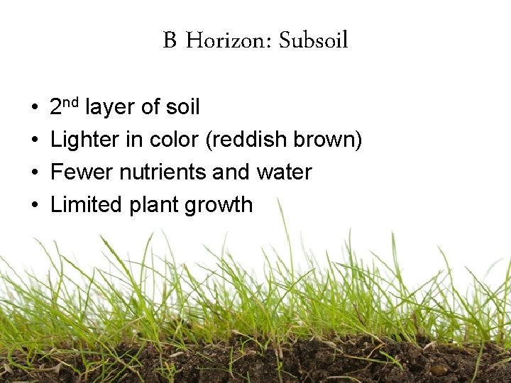 B Horizon: Subsoil • • 2 nd layer of soil Lighter in color (reddish