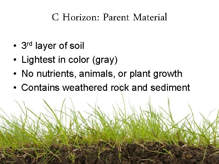 C Horizon: Parent Material • • 3 rd layer of soil Lightest in color