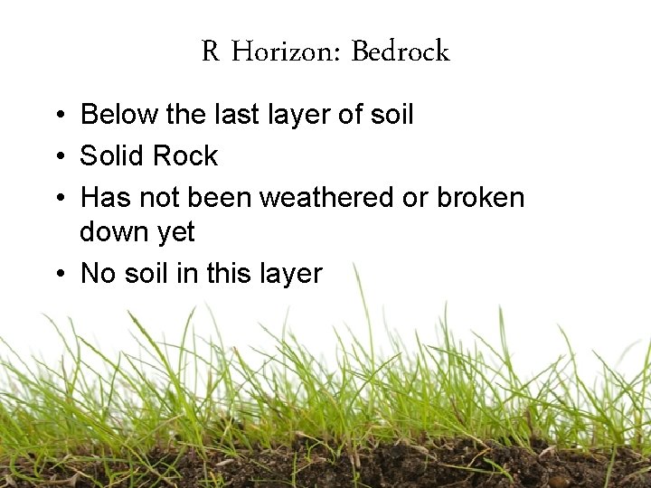 R Horizon: Bedrock • Below the last layer of soil • Solid Rock •