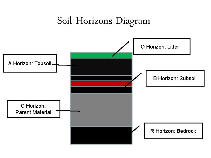 Soil Horizons Diagram Copy this into your notes O Horizon: Litter. N A Horizon: