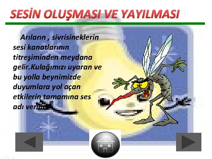 SESİN OLUŞMASI VE YAYILMASI Arıların , sivrisineklerin sesi kanatlarının titreşiminden meydana gelir. Kulağımızı uyaran SESİN OLUŞMASI VE YAYILMASI Arıların , sivrisineklerin sesi kanatlarının titreşiminden meydana gelir. Kulağımızı uyaran