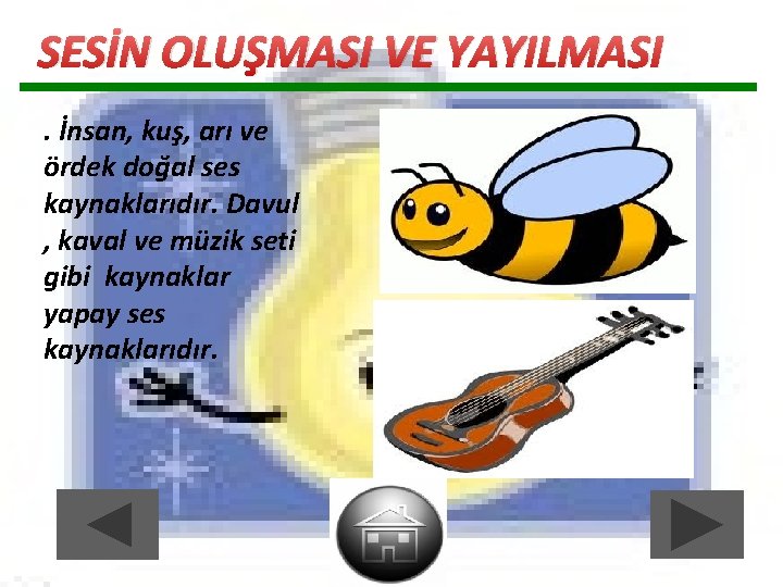 SESİN OLUŞMASI VE YAYILMASI. İnsan, kuş, arı ve ördek doğal ses kaynaklarıdır. Davul , SESİN OLUŞMASI VE YAYILMASI. İnsan, kuş, arı ve ördek doğal ses kaynaklarıdır. Davul ,